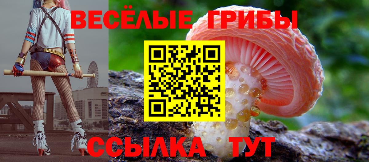 Галлюциногенные грибы GOLDEN TEACHER  Галлюциногенные грибы Magic Shrooms  магазин  наркотиков  Кудрово  Вход с VPN 