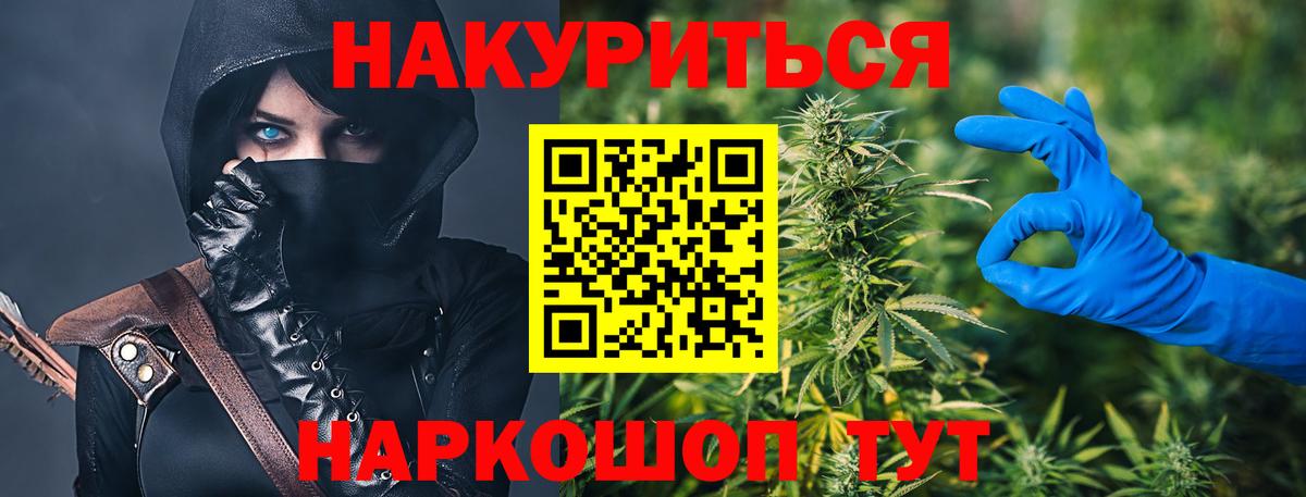 Канабис планчик Кудрово